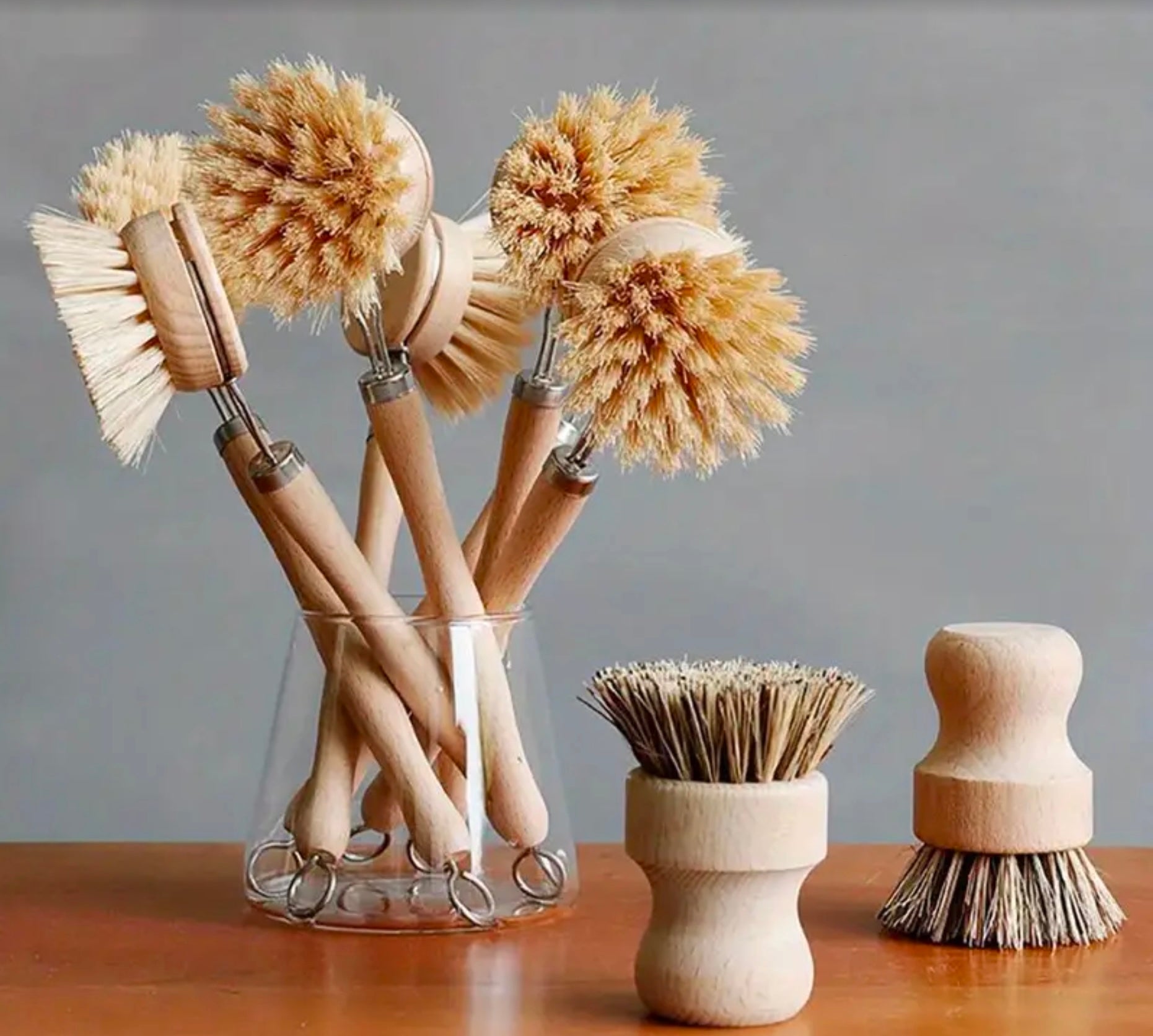 Long Handle Wood & Metal Dish Brush